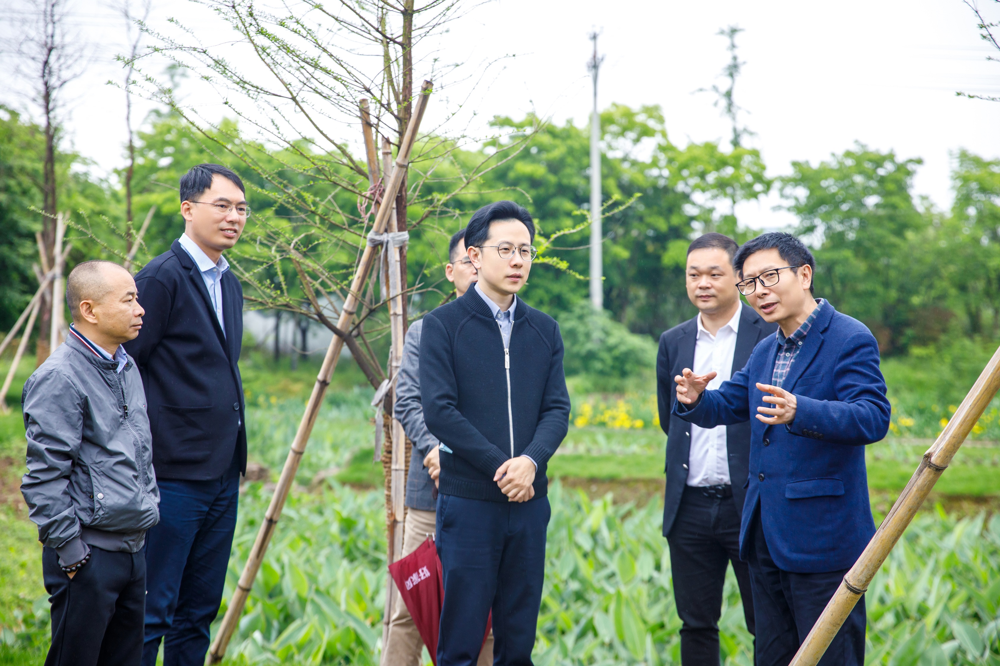 浙江省建設(shè)廳村鎮(zhèn)建設(shè)處處長吳毅峰率隊來我司農(nóng)污項目開展工作督導